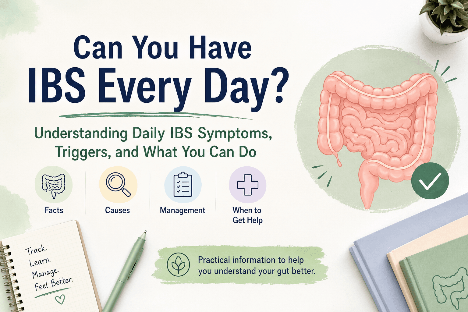 Can You Have IBS Every Day? cover